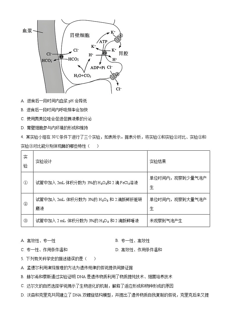 河南省郑州市宇华实验学校2023-2024学年高二下学期7月期末考试生物试题(Word版附解析)第2页