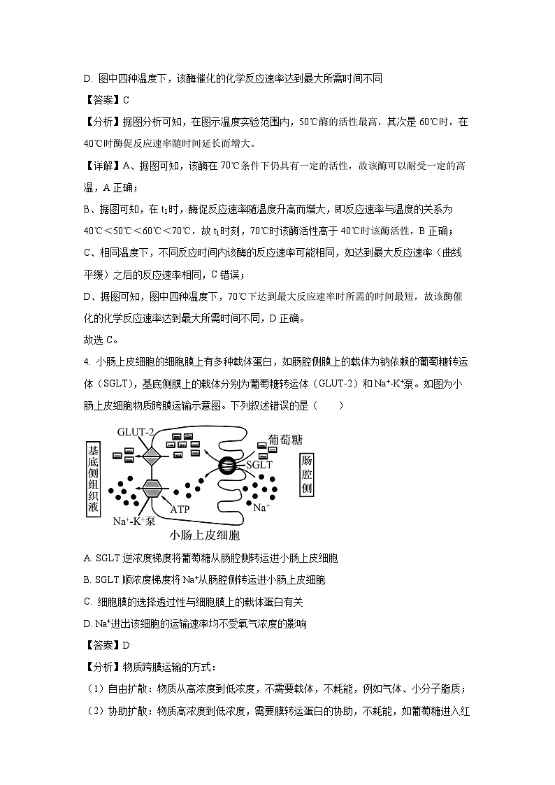 [生物][三模]2024屆甘肅省酒泉市高三試卷(解析版)第3頁