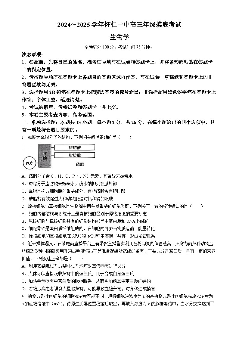 山西省朔州市怀仁市第一中学校2024-2025学年高三上学期摸底考试生物学试题第1页