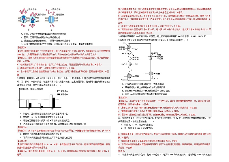 新疆石河子第一中学2024-2025学年高三上学期开学考试生物试题及答案第2页
