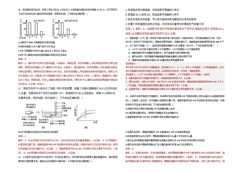 新疆石河子第一中学2024-2025学年高三上学期开学考试生物试题及答案第3页