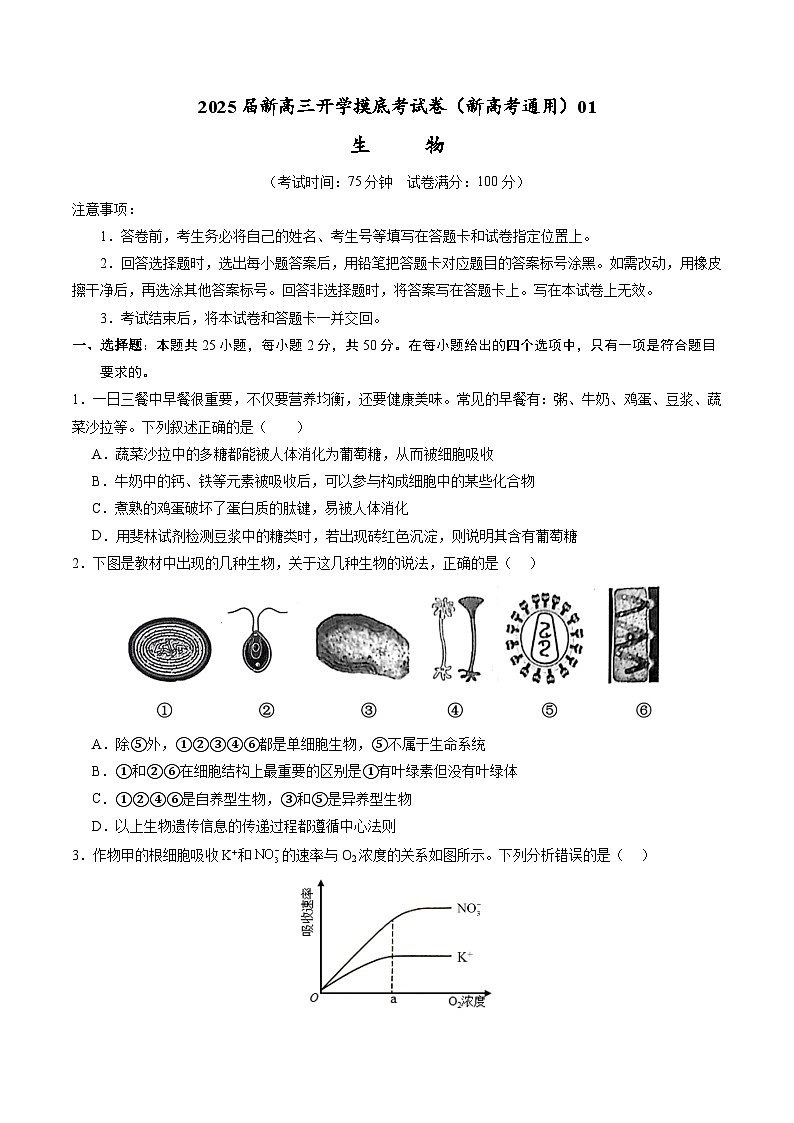 生物-2025届新高三开学摸底考试卷(新高考通用,单选版)(含解析版及原卷版及答题卡)01