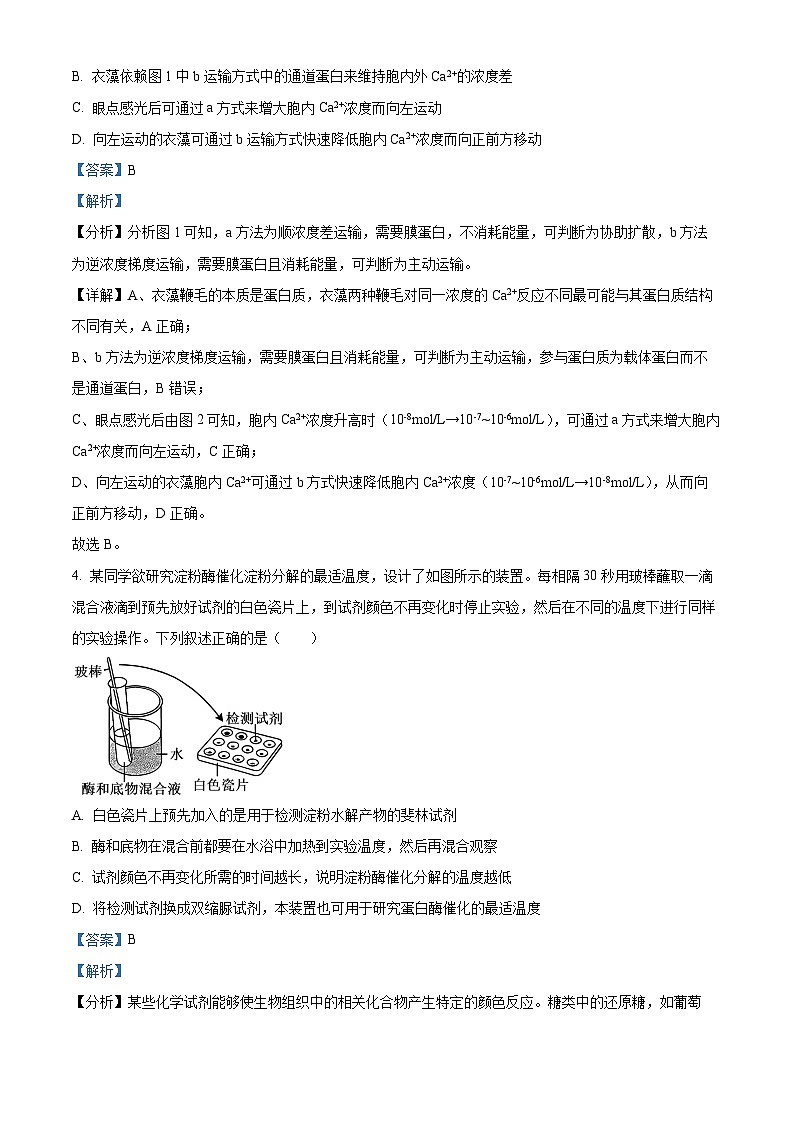 河南省洛阳市洛龙区洛阳市第一高级中学2024-2025学年高三上学期开学考试生物试题(解析版)第3页