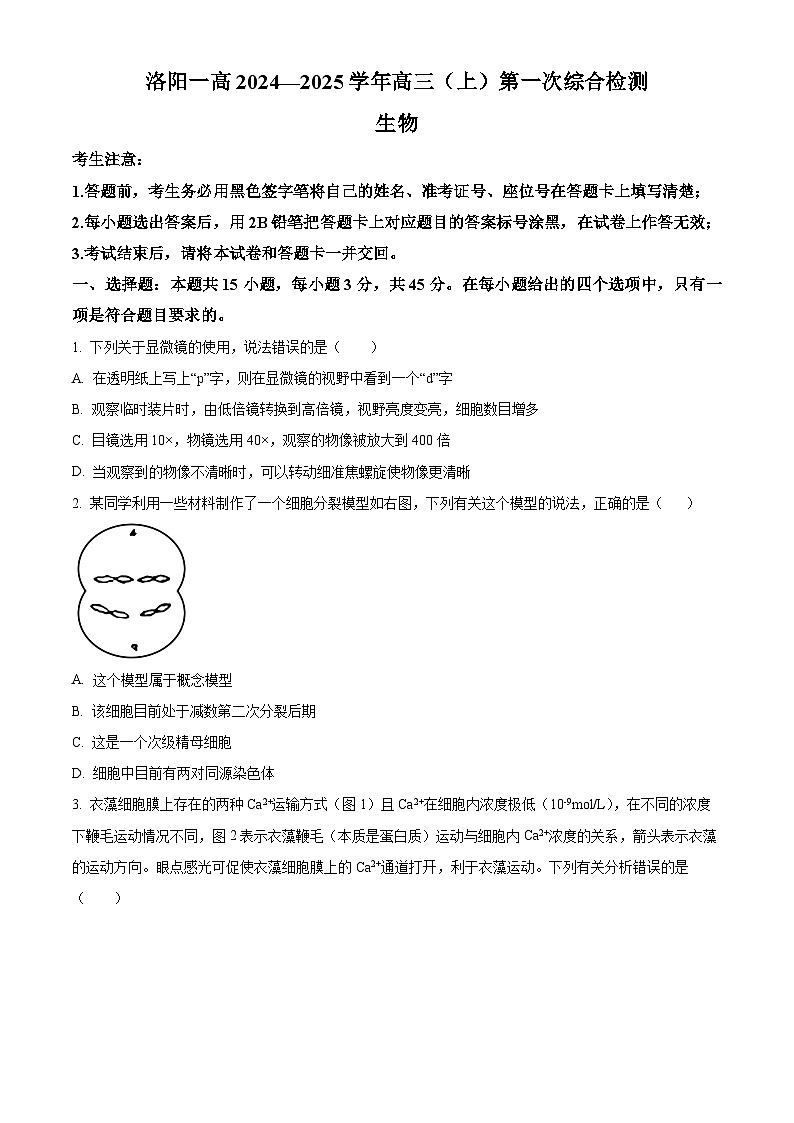 河南省洛阳市洛龙区洛阳市第一高级中学2024-2025学年高三上学期开学考试生物试题(原卷版)第1页