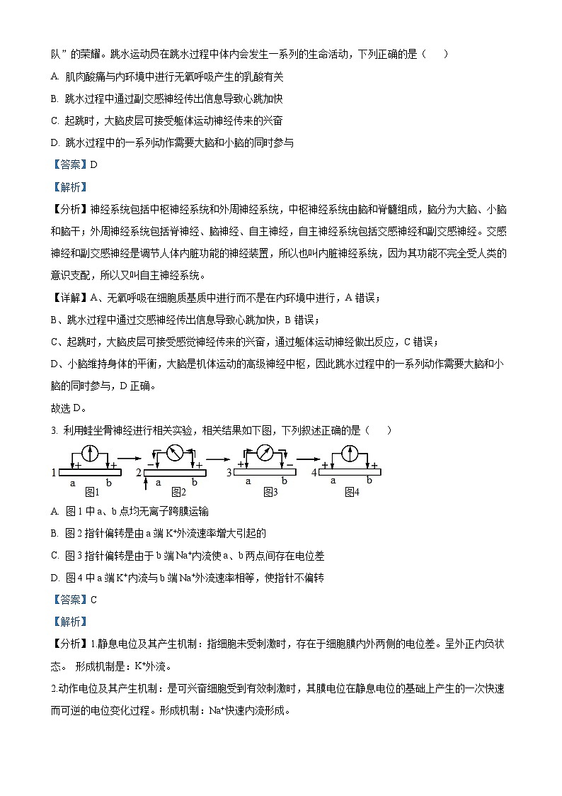 广东省湛江市部分学校2023-2024学年高二下学期期中考试生物试卷(原卷版+解析版)02