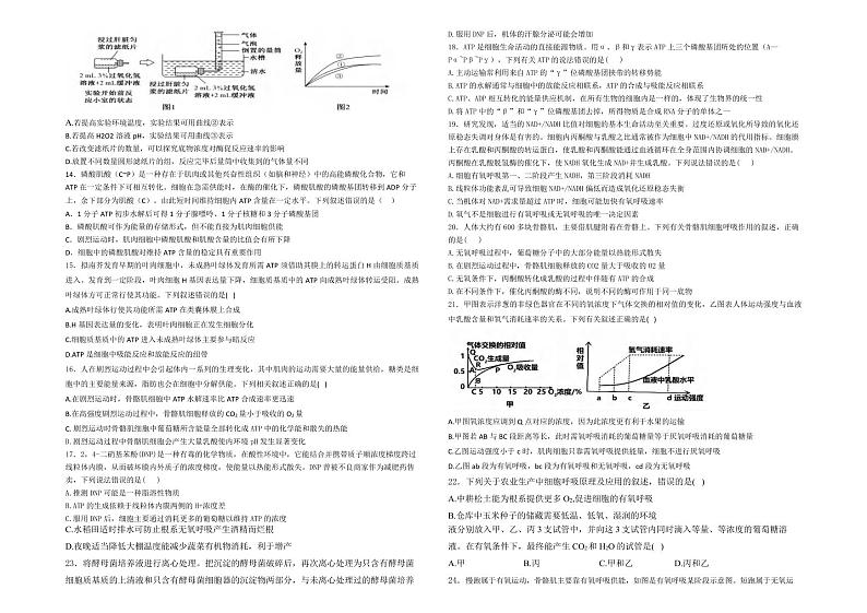 生物丨新疆维吾尔族自治区石河子第一中学2025届高三8月月考暨开学考试生物试卷及答案第2页