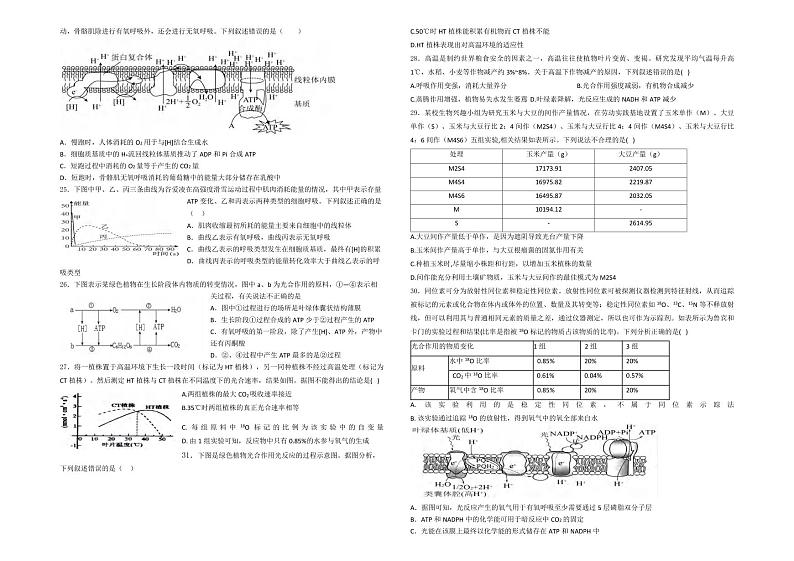 生物丨新疆维吾尔族自治区石河子第一中学2025届高三8月月考暨开学考试生物试卷及答案第3页