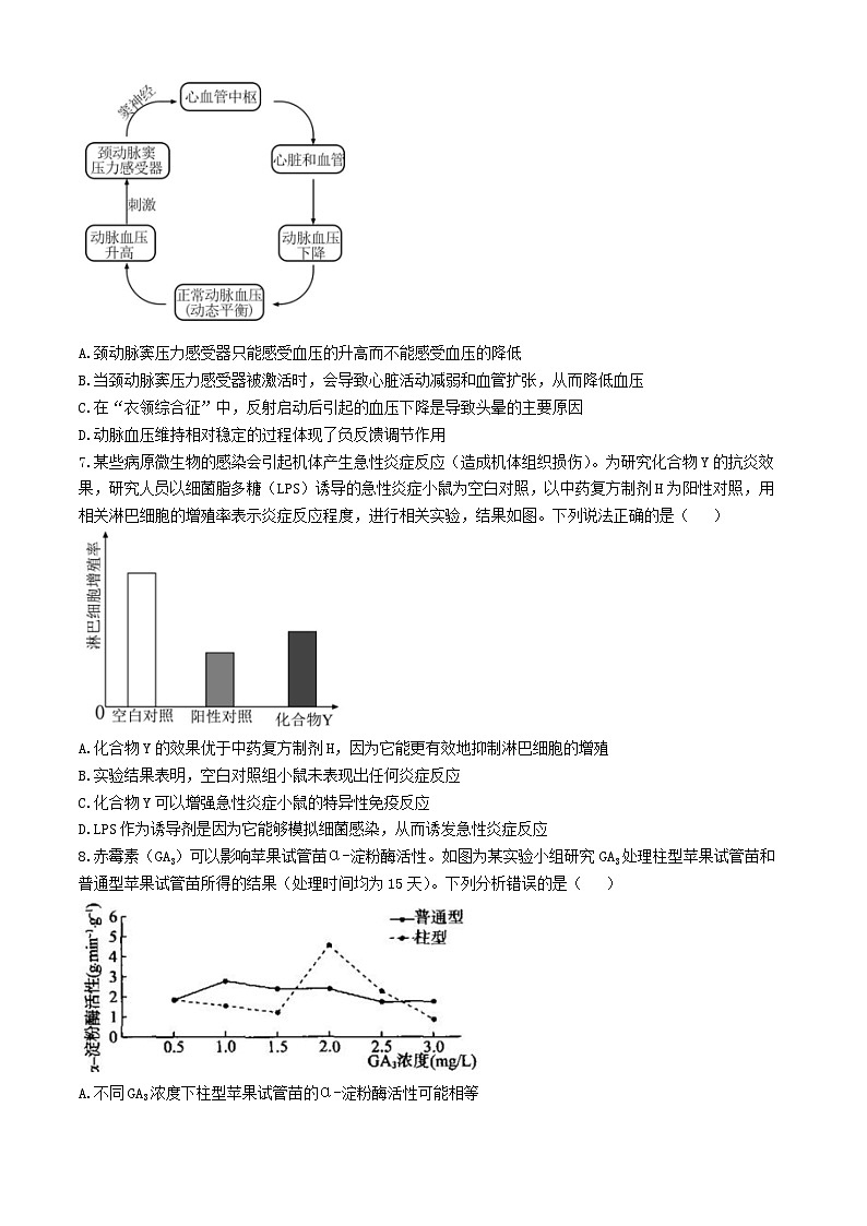湖北省重点高中智学联盟2025届高三上学期8月联考生物试卷(Word版附答案)第2页