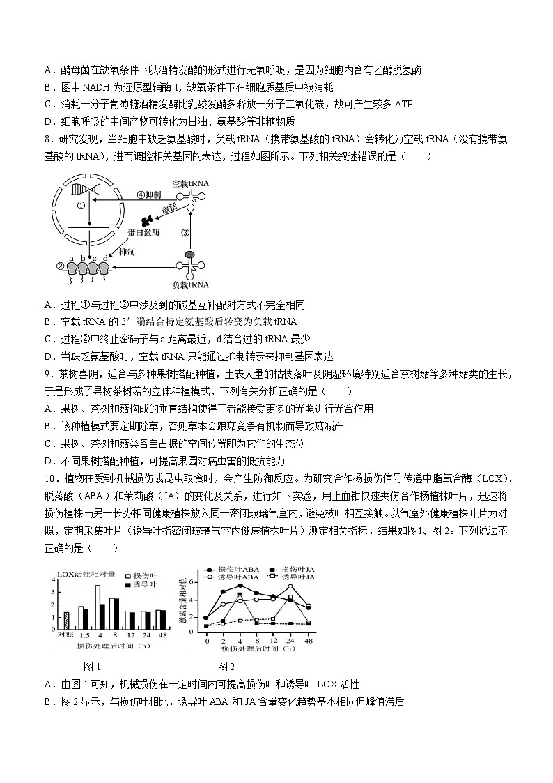 湖南省长沙市平高教育集团2024—2025学年高三上学期8月考试生物试题(无答案)第3页