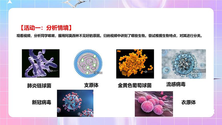 人教版（2019）高中生物必修一 1.2.2《細(xì)胞的多樣性和統(tǒng)一性》課件第4頁