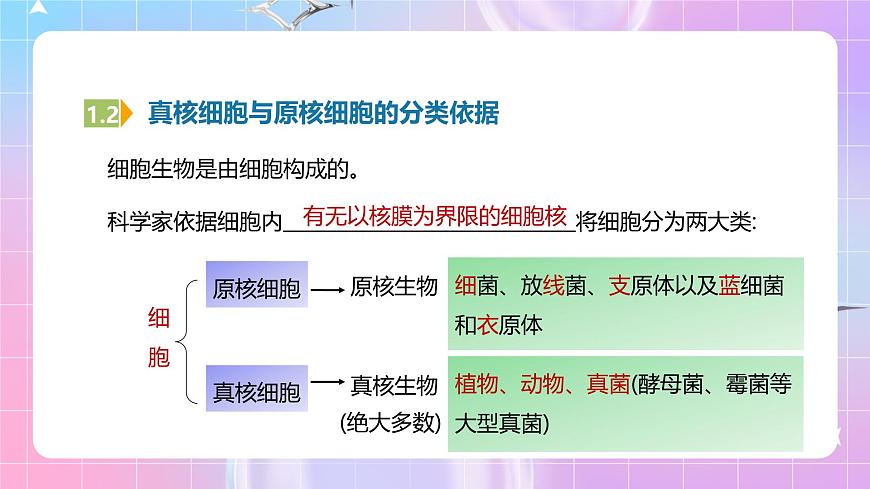 人教版（2019）高中生物必修一 1.2.2《細(xì)胞的多樣性和統(tǒng)一性》課件第6頁