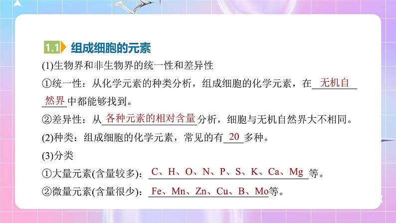 人教版(2019)高中生物必修一 2.1《细胞中的元素和化合物》课件07