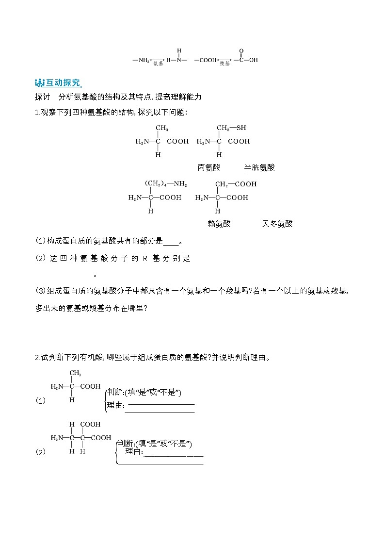 人教版(2019)高中生物必修一 2.4《蛋白质是生命活动的主要承担者》导学案(原卷+解析卷)03