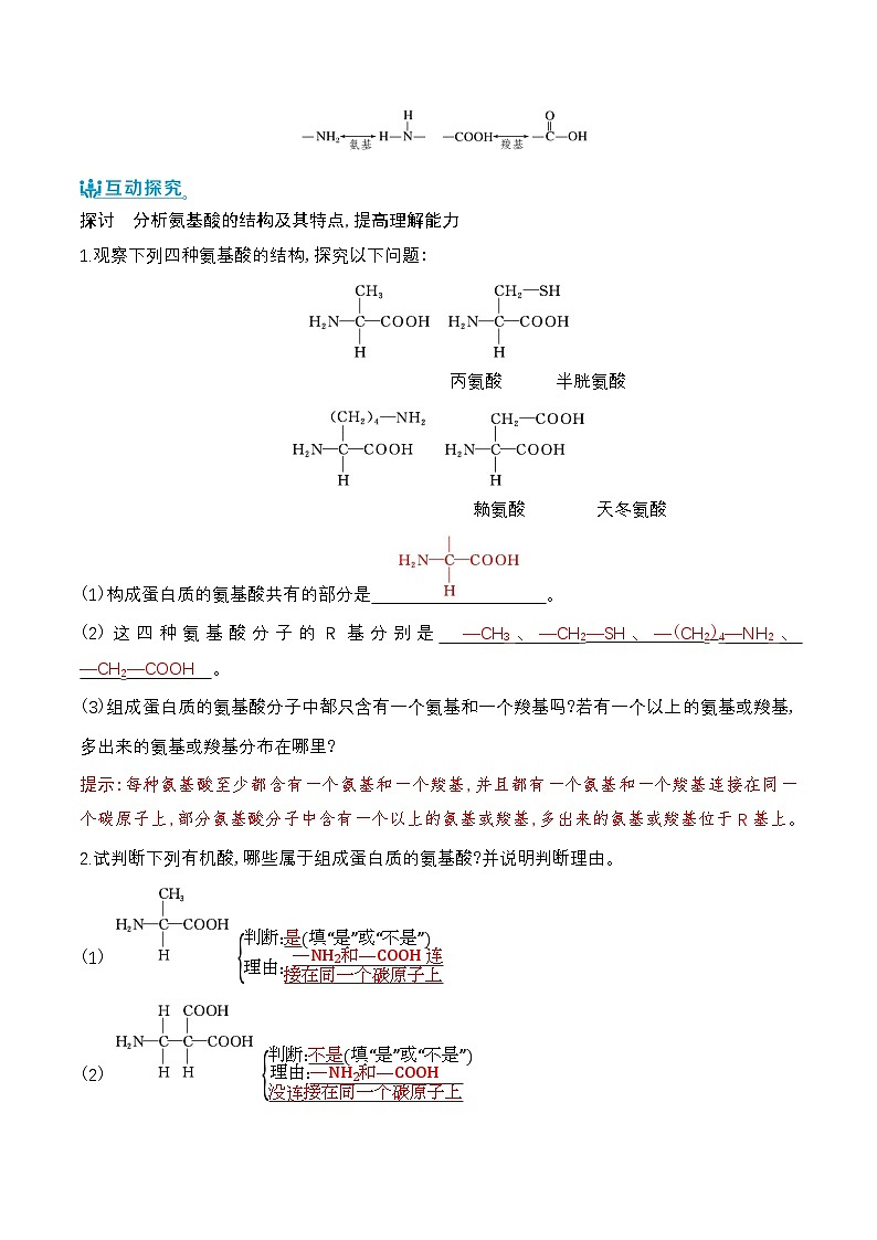 人教版(2019)高中生物必修一 2.4《蛋白质是生命活动的主要承担者》导学案(原卷+解析卷)03