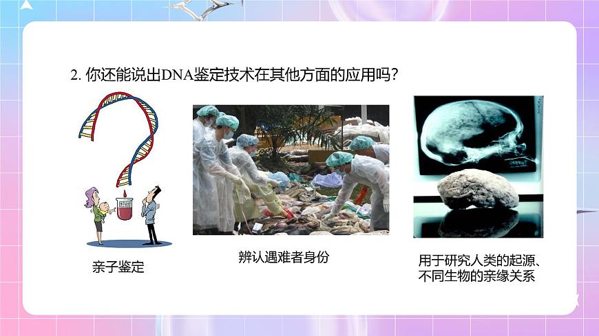 人教版(2019)高中生物必修一 2.5《核酸是遺傳信息的攜帶者》課件第3頁