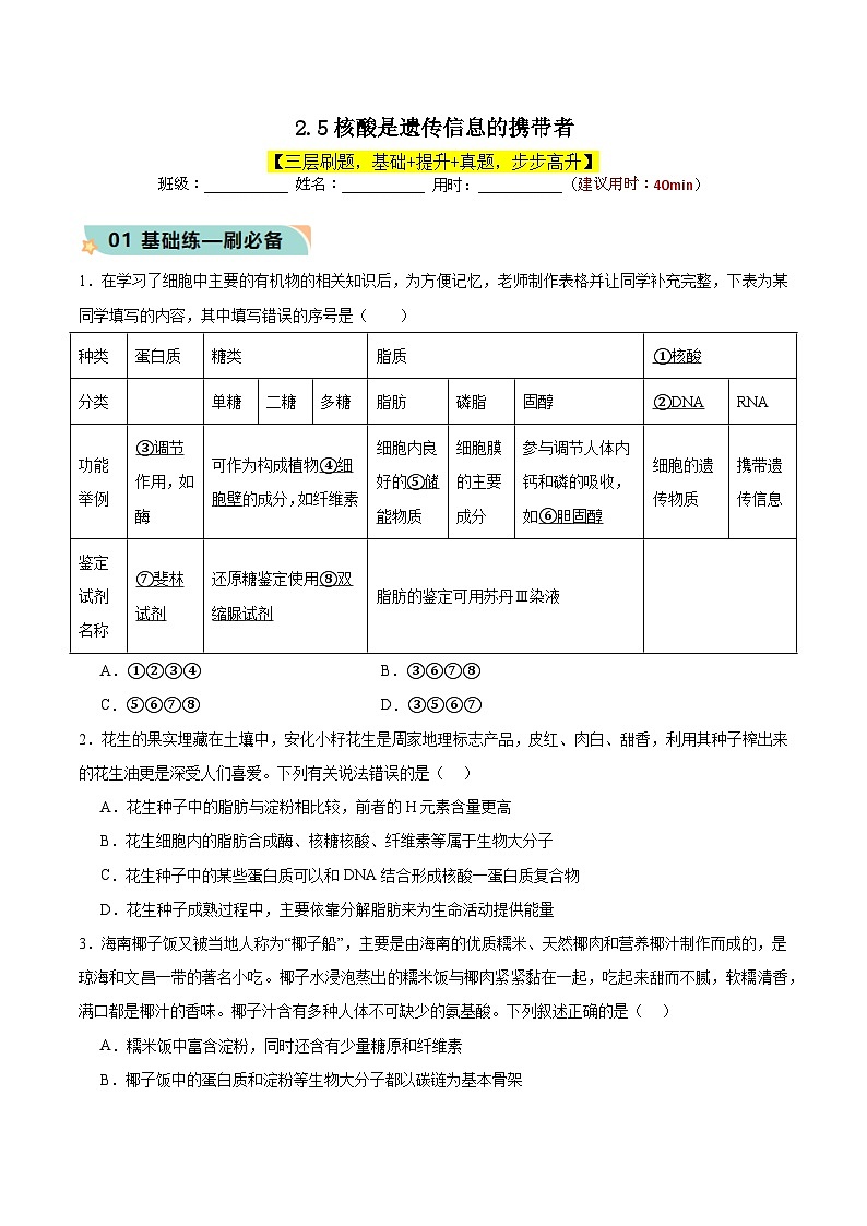 人教版(2019)高中生物必修一 2.5《核酸是遗传信息的携带者》分层作业(原卷+解析卷)01