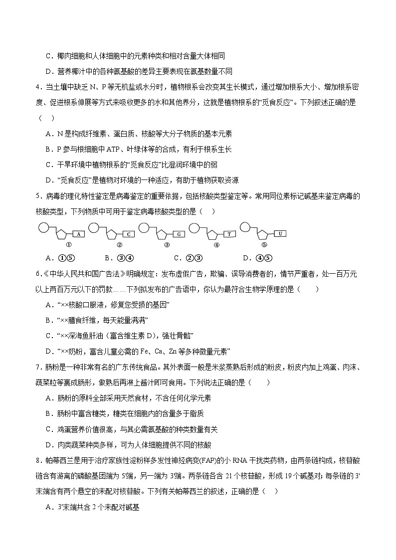 人教版(2019)高中生物必修一 2.5《核酸是遗传信息的携带者》分层作业(原卷+解析卷)02