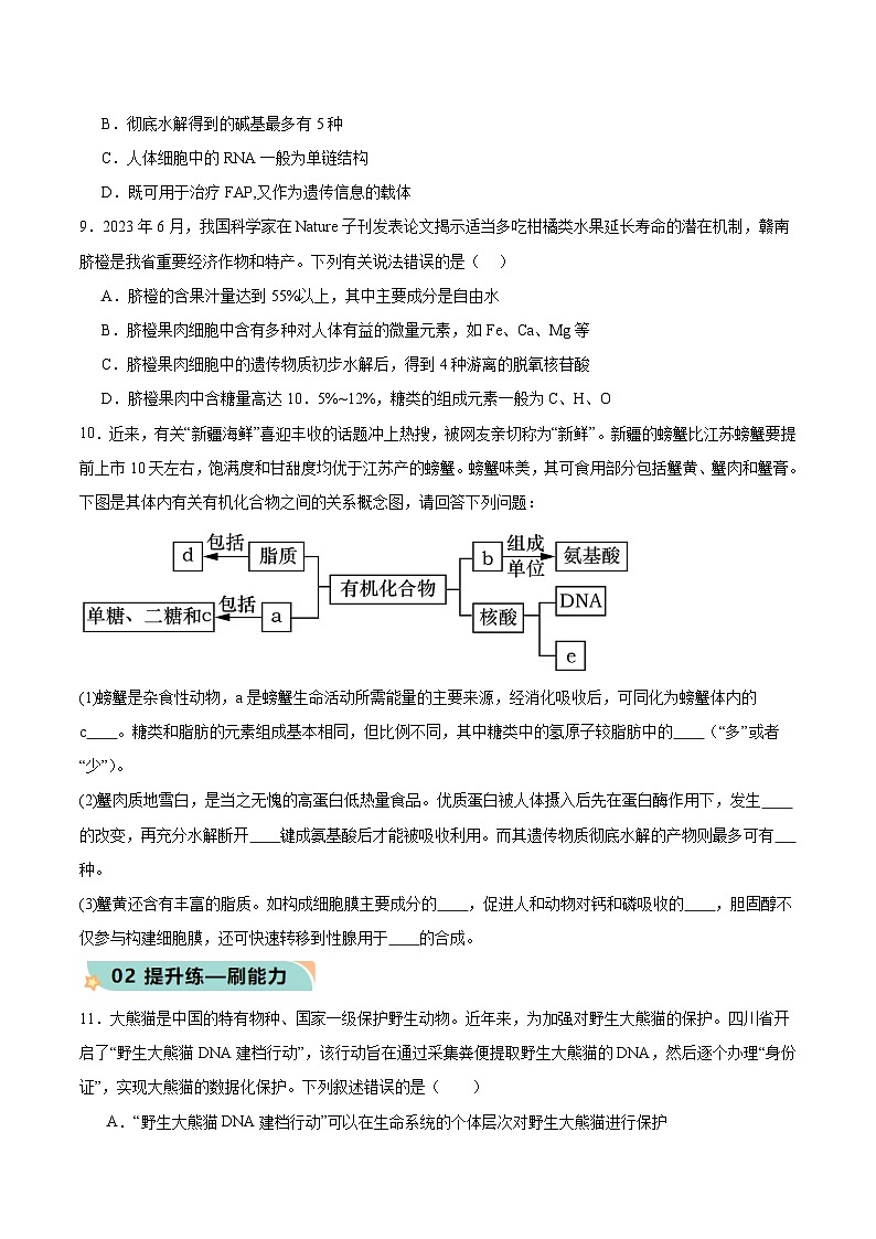 人教版(2019)高中生物必修一 2.5《核酸是遗传信息的携带者》分层作业(原卷+解析卷)03