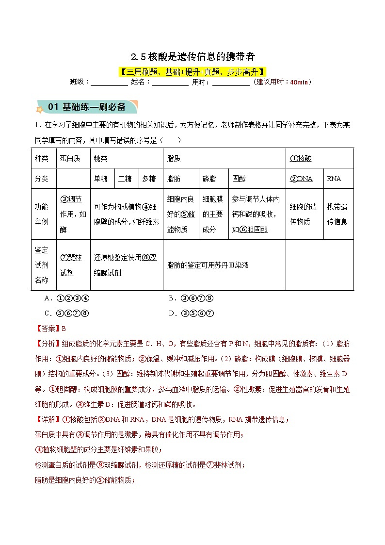 人教版(2019)高中生物必修一 2.5《核酸是遗传信息的携带者》分层作业(原卷+解析卷)01