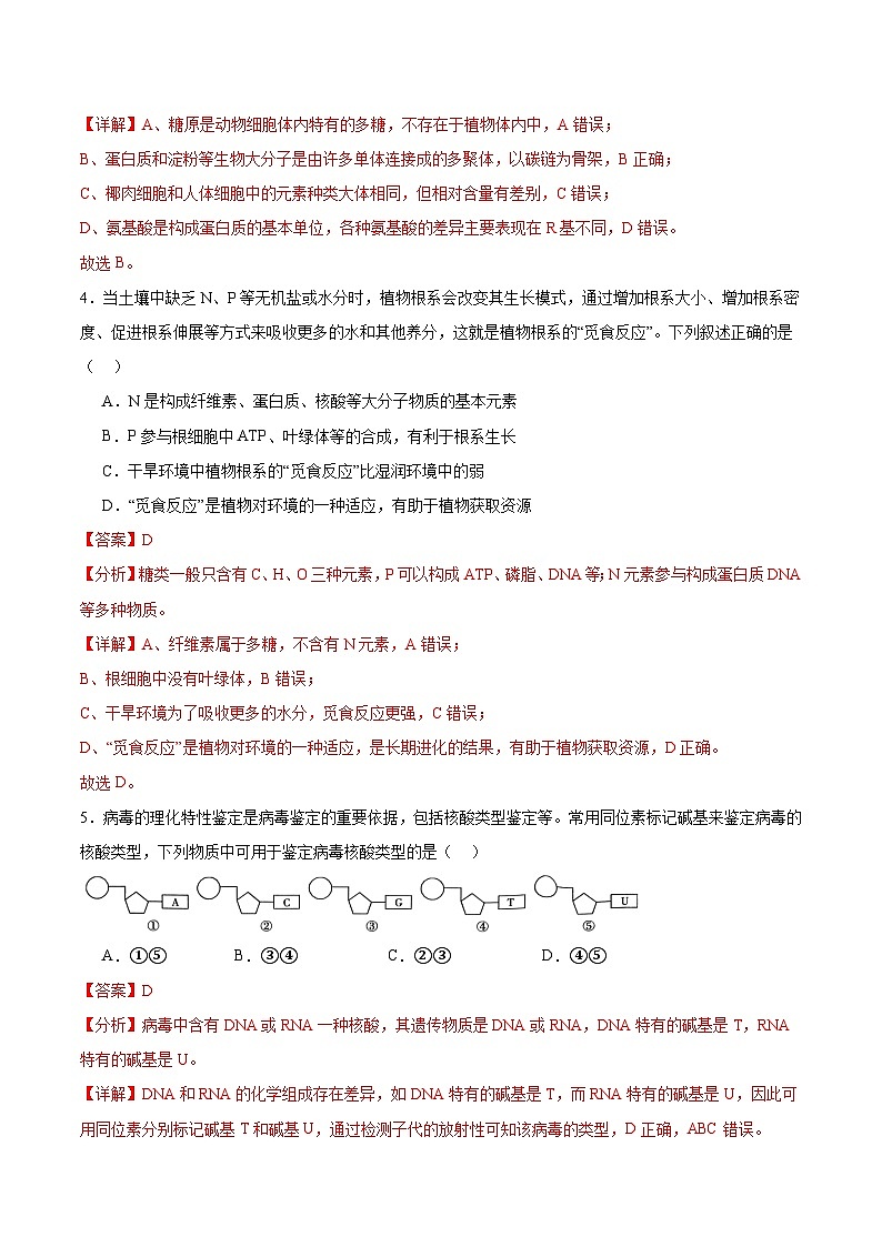 人教版(2019)高中生物必修一 2.5《核酸是遗传信息的携带者》分层作业(原卷+解析卷)03