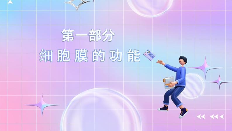人教版(2019)高中生物必修一 3.1《细胞膜的结构和功能》课件第4页