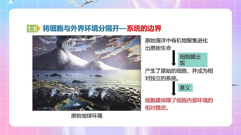 人教版(2019)高中生物必修一 3.1《细胞膜的结构和功能》课件第5页