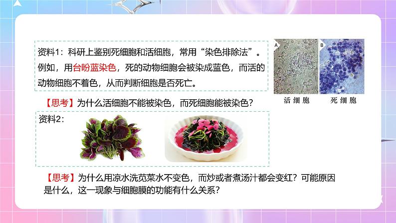 人教版(2019)高中生物必修一 3.1《细胞膜的结构和功能》课件第6页