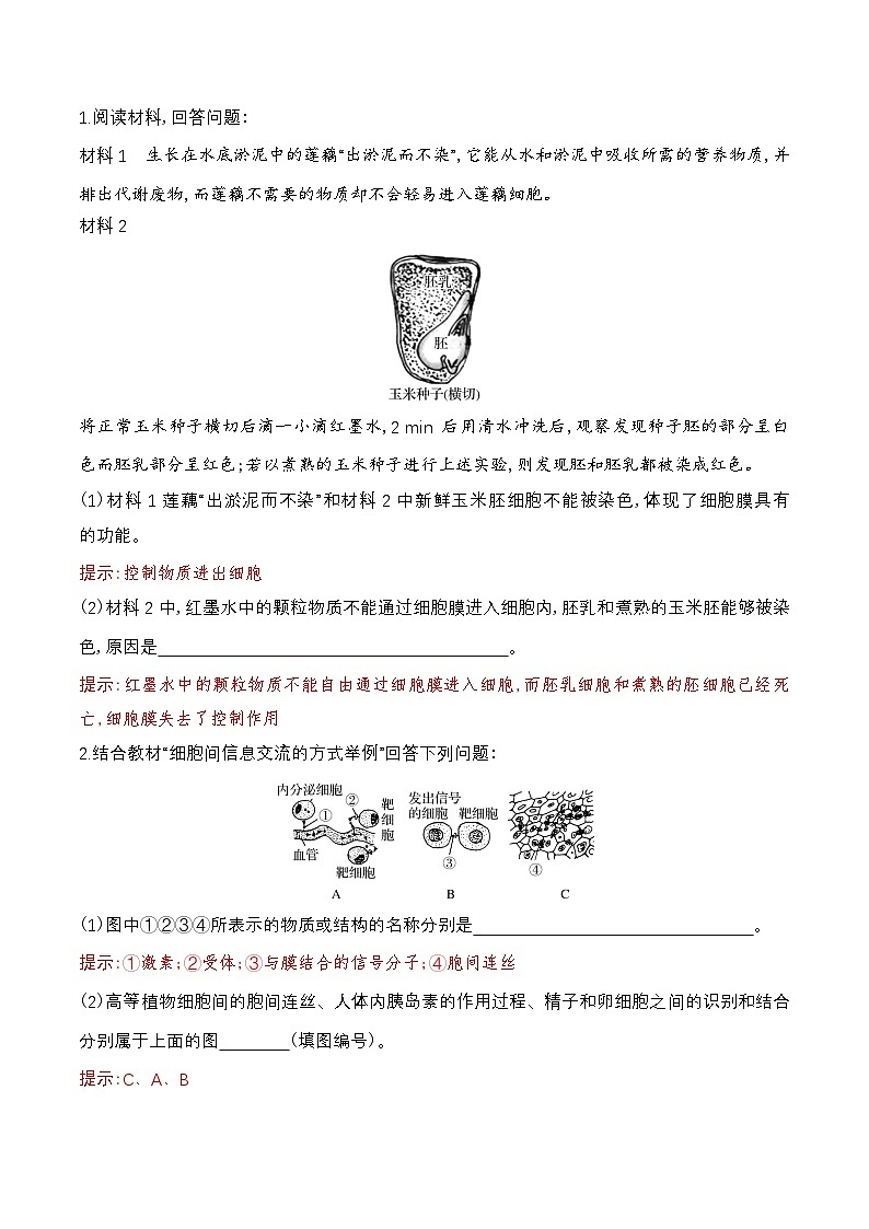 人教版(2019)高中生物必修一 3.1《细胞膜的结构和功能》导学案(原卷+解析卷)02