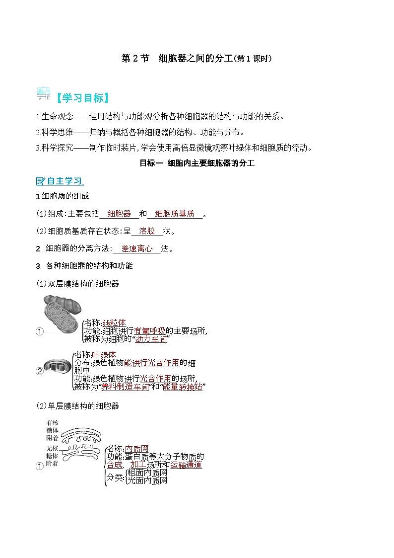 人教版(2019)高中生物必修一 3.2.1《细胞器之间的分工》导学案(原卷+解析卷)01