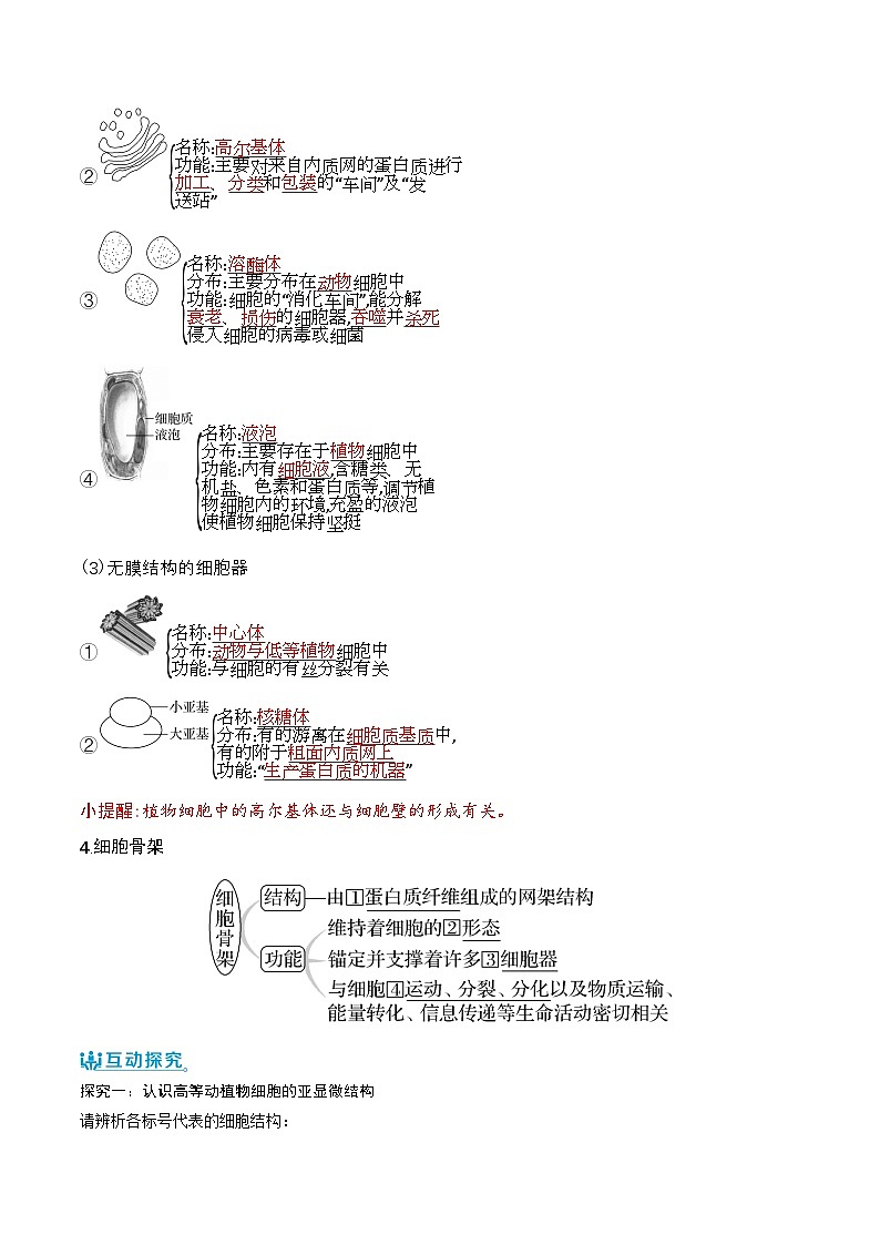 人教版(2019)高中生物必修一 3.2.1《细胞器之间的分工》导学案(原卷+解析卷)02