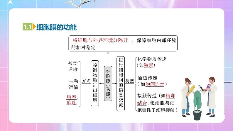 人教版(2019)高中生物必修一 第3章《细胞的基本结构》单元复习课件05