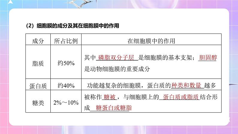 人教版(2019)高中生物必修一 第3章《细胞的基本结构》单元复习课件08