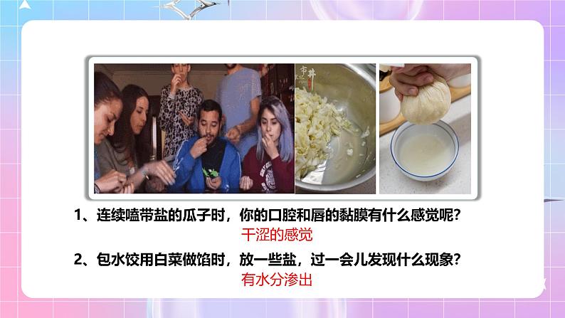 人教版(2019)高中生物必修一 4.1.1《水进出细胞的原理》课件02