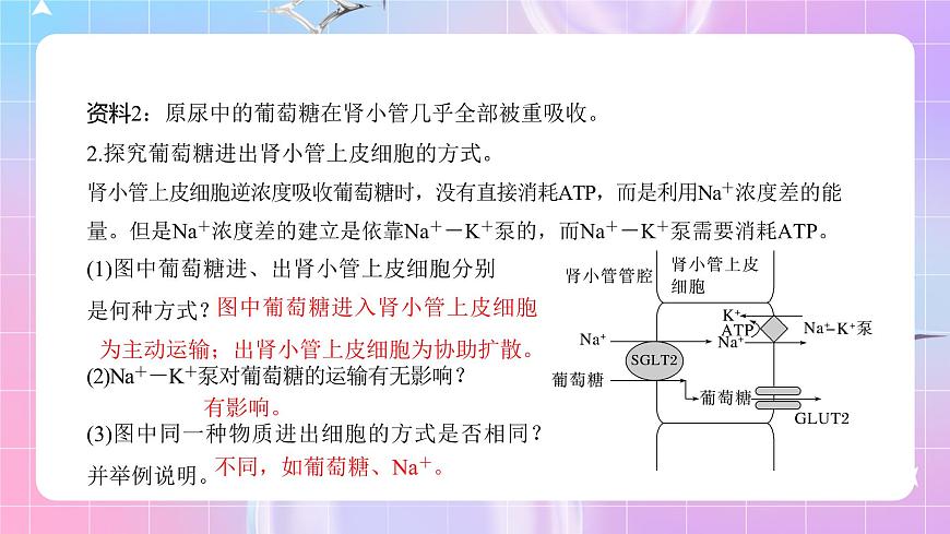 人教版（2019）高中生物必修一 4.2《主動(dòng)運(yùn)輸與胞吞、胞吐》課件第7頁(yè)