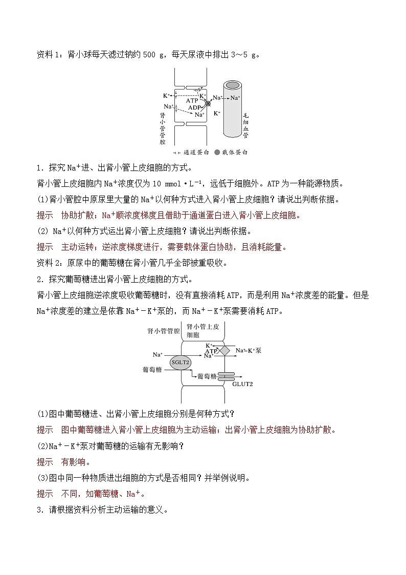人教版（2019）高中生物必修一 4.2《主動運(yùn)輸與胞吞、胞吐》導(dǎo)學(xué)案（解析版）第2頁