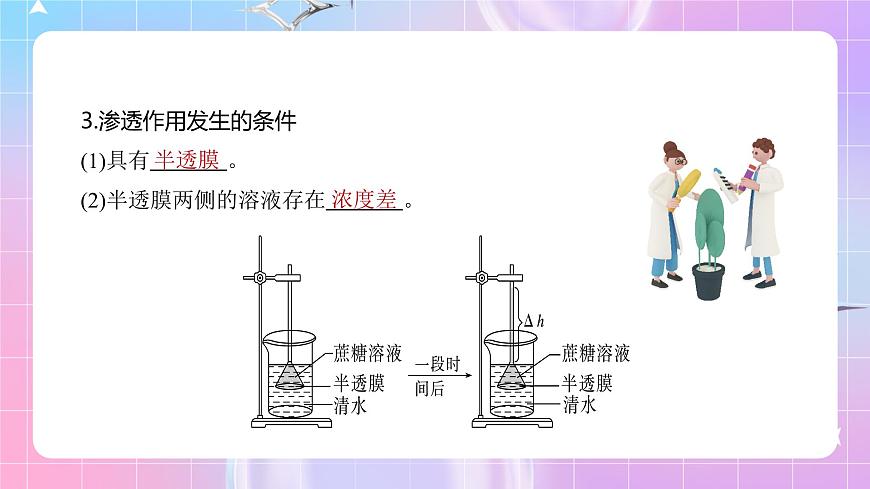 人教版（2019）高中生物必修一 第4章《細胞的物質(zhì)輸入和輸出》單元復(fù)習課件第7頁