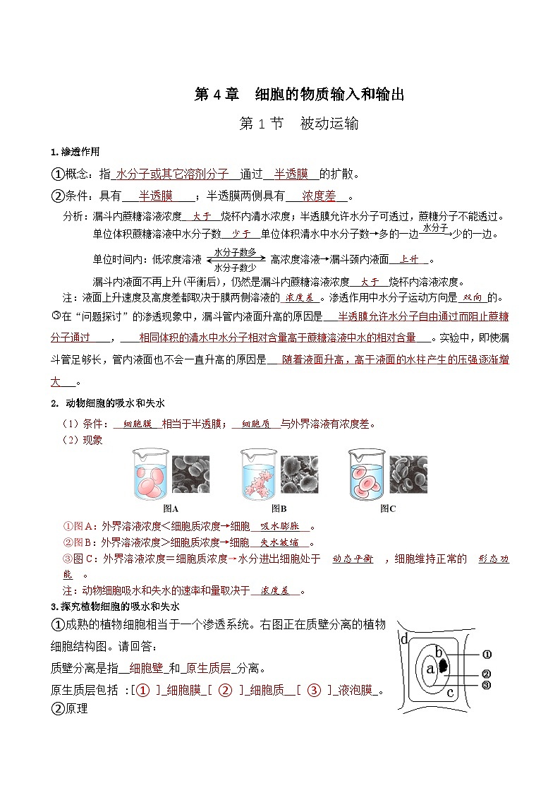 人教版（2019）高中生物必修一 第4章《細(xì)胞的物質(zhì)輸入和輸出》單元知識(shí)清單（答案版）第1頁(yè)