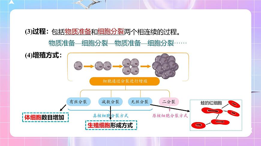 人教版（2019）高中生物必修一 6.1.1《細(xì)胞的增殖》課件第7頁