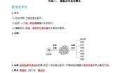 高中生物人教版 (2019)必修1《分子与细胞》第2节 细胞的分化精品复习练习题