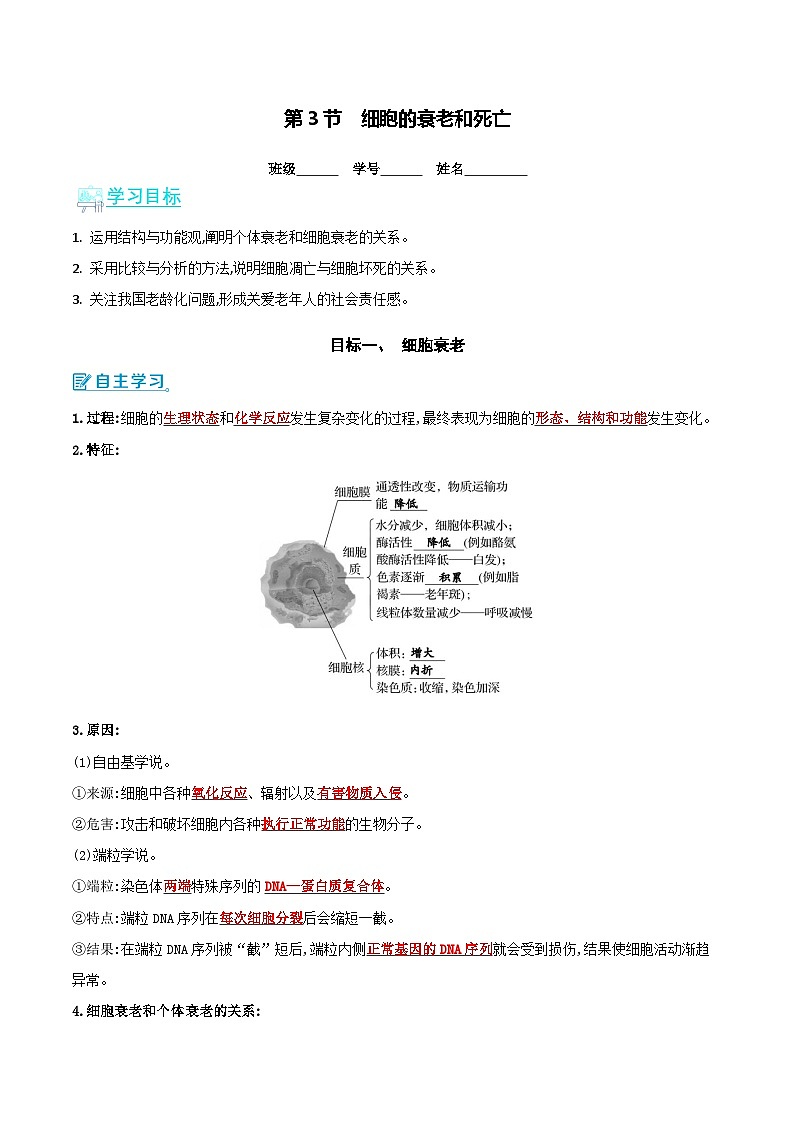 人教版(2019)高中生物必修一 6.3《细胞的衰老和死亡》导学案(原卷+解析卷)01