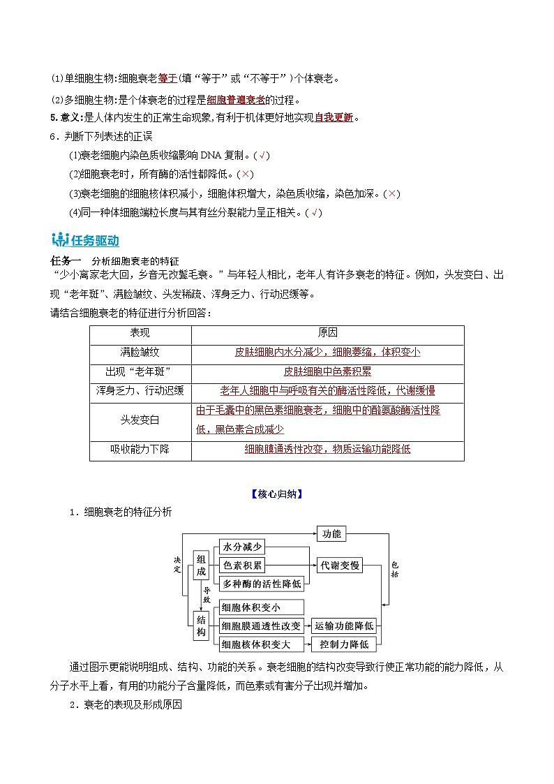 人教版(2019)高中生物必修一 6.3《细胞的衰老和死亡》导学案(原卷+解析卷)02