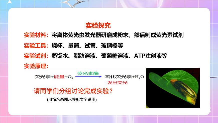 人教版（2019）高中生物必修一 5.2《細(xì)胞的能量“貨幣”ATP》課件第7頁(yè)