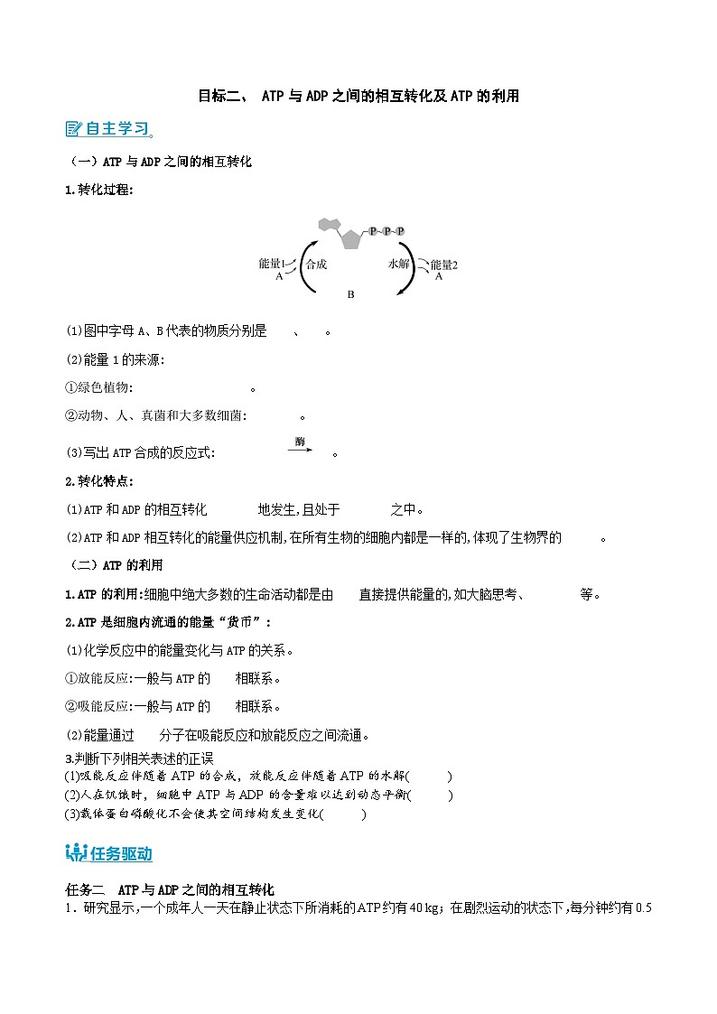 人教版(2019)高中生物必修一 5.2《细胞的能量“货币”ATP》导学案(原卷+解析卷)03