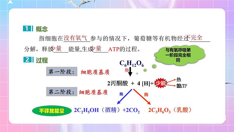人教版(2019)高中生物必修一 5.3.2《无氧呼吸和细胞呼吸原理的应用》课件04