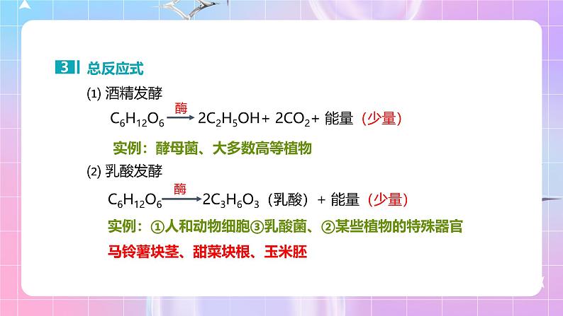人教版(2019)高中生物必修一 5.3.2《无氧呼吸和细胞呼吸原理的应用》课件05