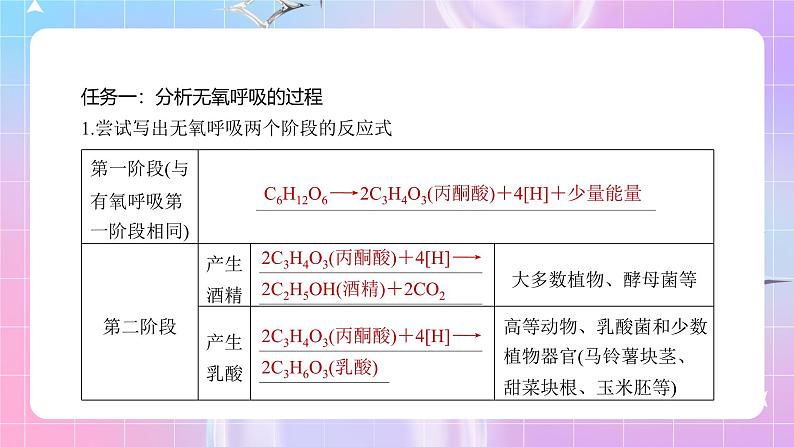 人教版(2019)高中生物必修一 5.3.2《无氧呼吸和细胞呼吸原理的应用》课件06