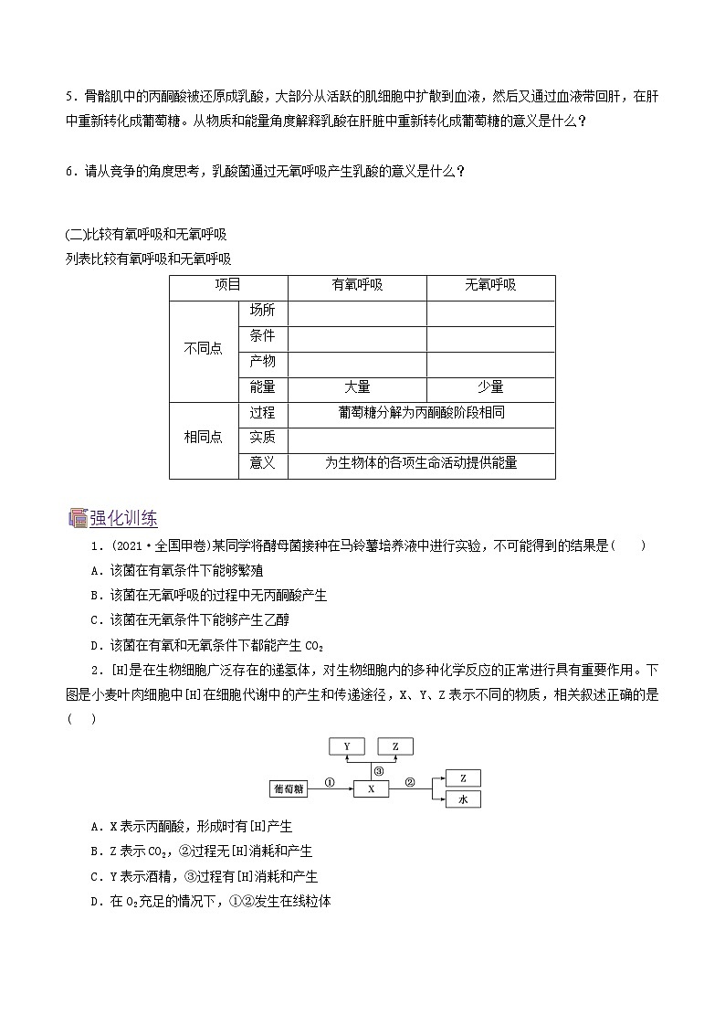 人教版(2019)高中生物必修一 5.3.2《无氧呼吸和细胞呼吸原理的应用》导学案(原卷+解析卷)03