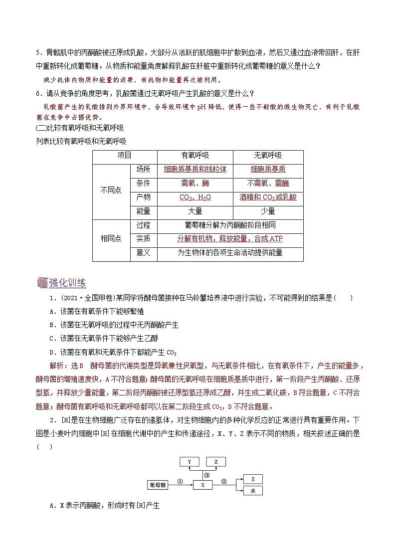 人教版(2019)高中生物必修一 5.3.2《无氧呼吸和细胞呼吸原理的应用》导学案(原卷+解析卷)03