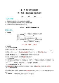 人教版 (2019)必修1《分子与细胞》一 捕获光能的色素和结构精品同步测试题