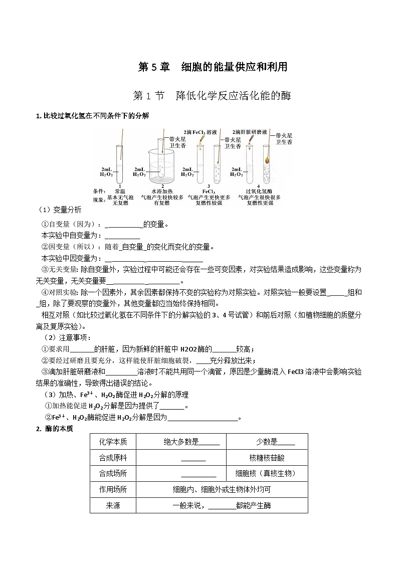 人教版（2019）高中生物必修一 第5章《細胞的能量供應(yīng)和利用》單元知識清單（填空版）第1頁